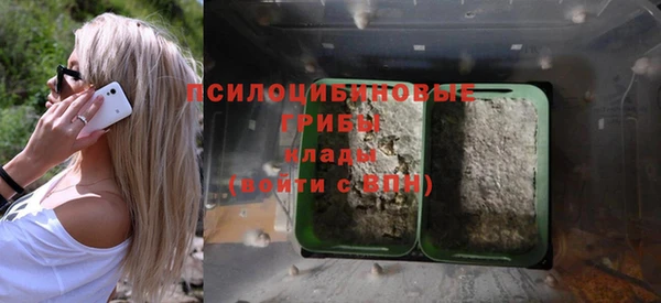 jwh Верея