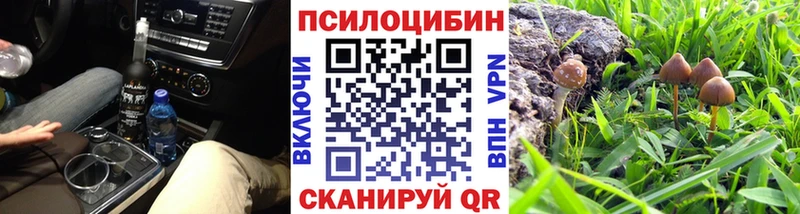 Псилоцибиновые грибы ЛСД  Купить где  Берёзовский 